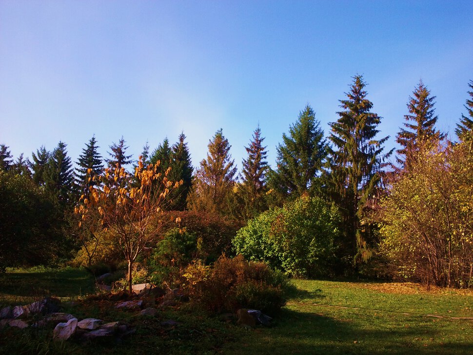 Осень в ботаническом саду