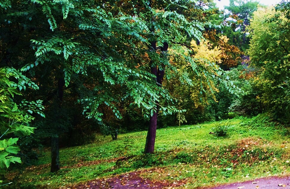По осенним горкам