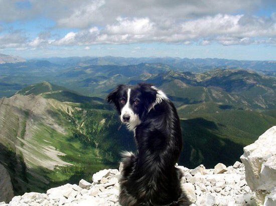 Не мешайте любоваться