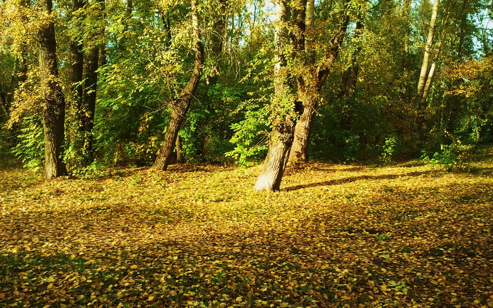 Осень и солнышко