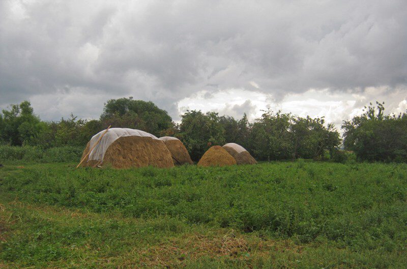 Перед грозой