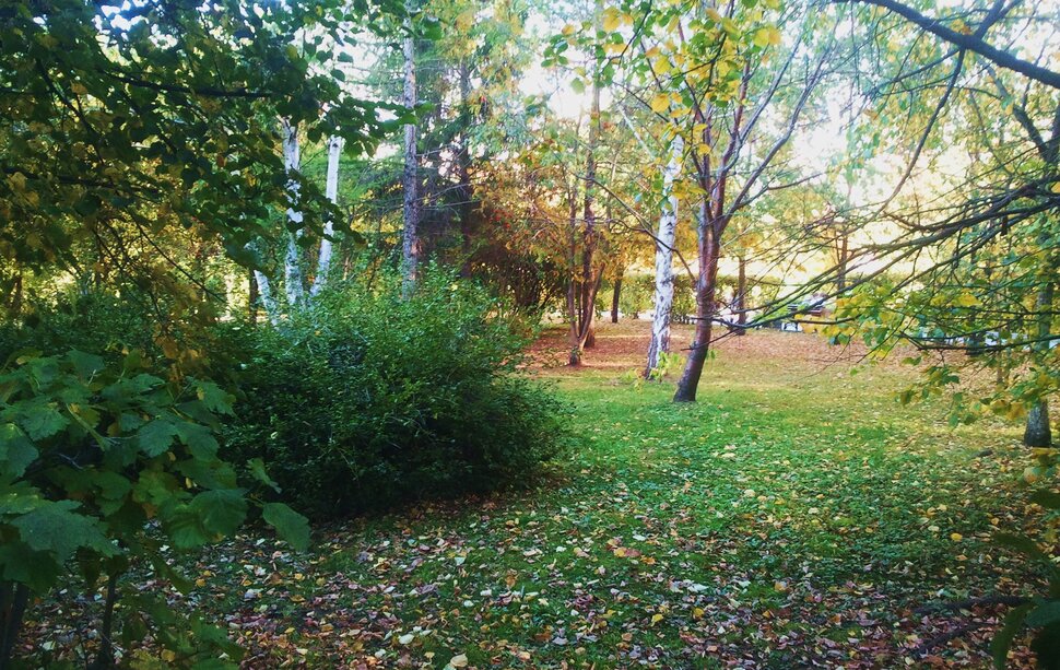 Сентябрь