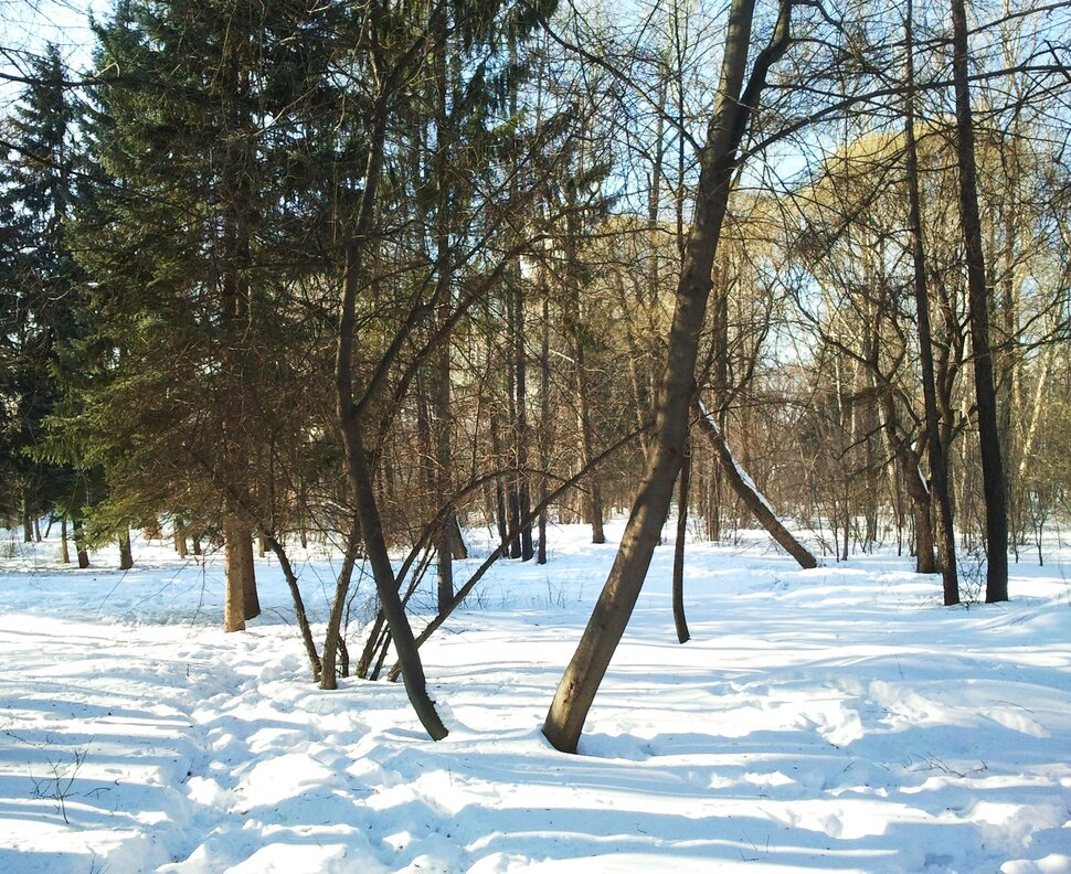 Февраль