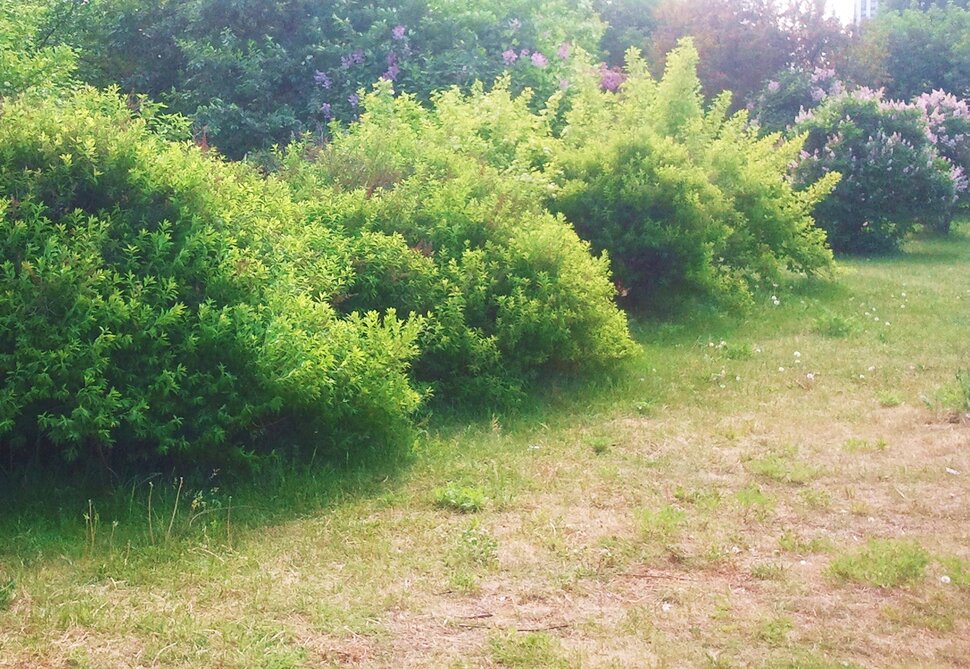 Июнь