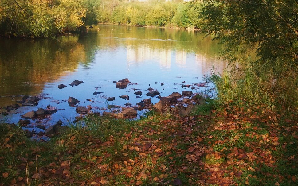 Осенью у реки