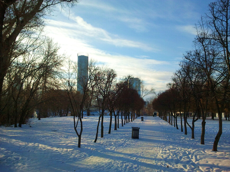 В сквере зимой