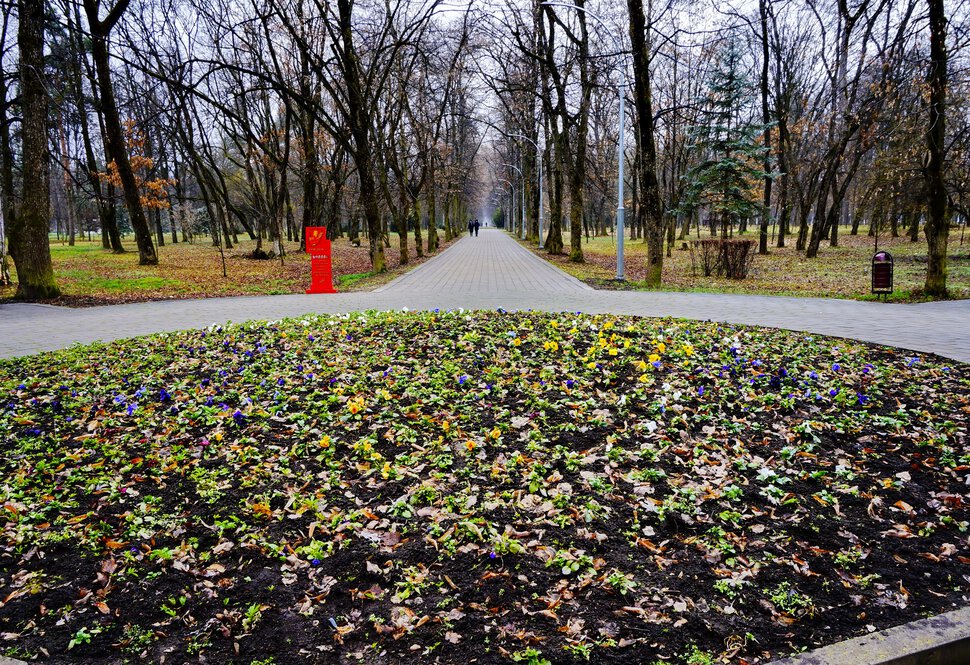 В весеннем парке