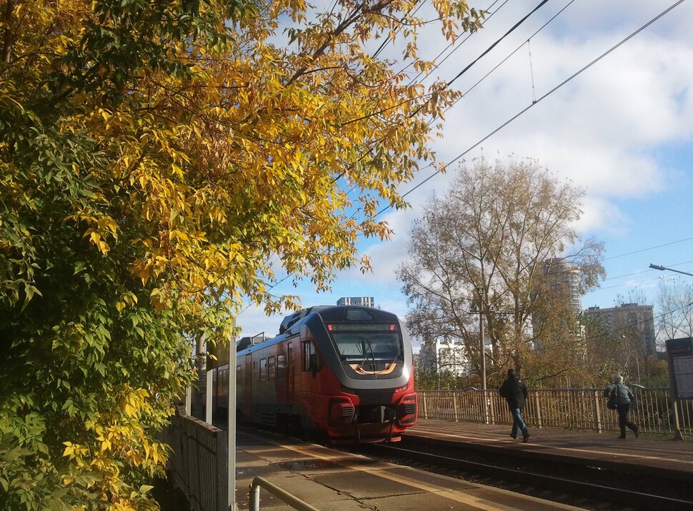 Наперегонки