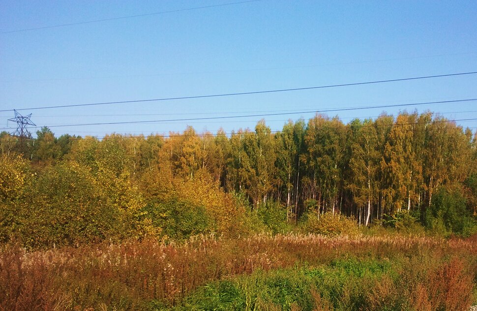 Сентябрь