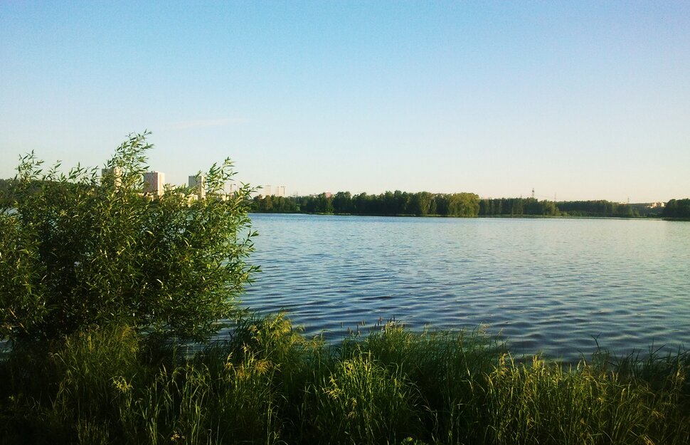 У реки