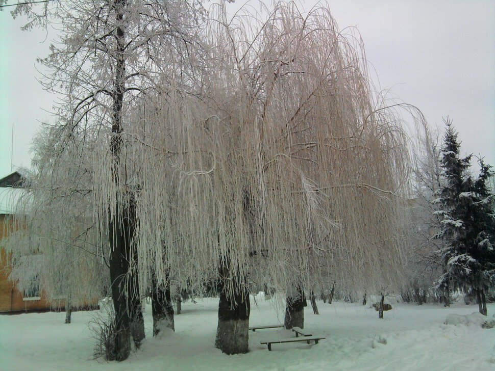 Зимняя сказка