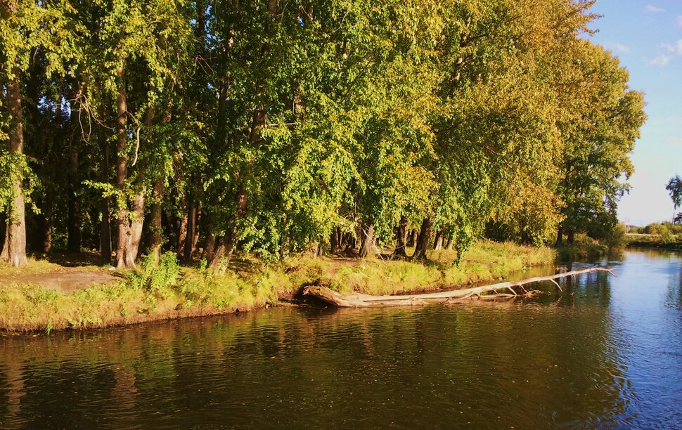 Осенью у реки