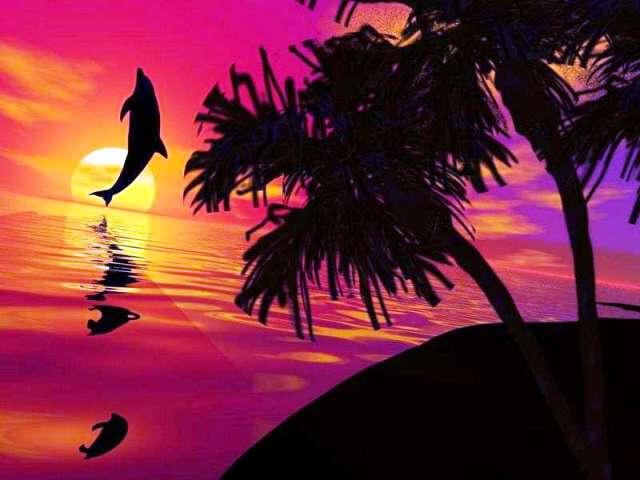Пейзаж с дельфином