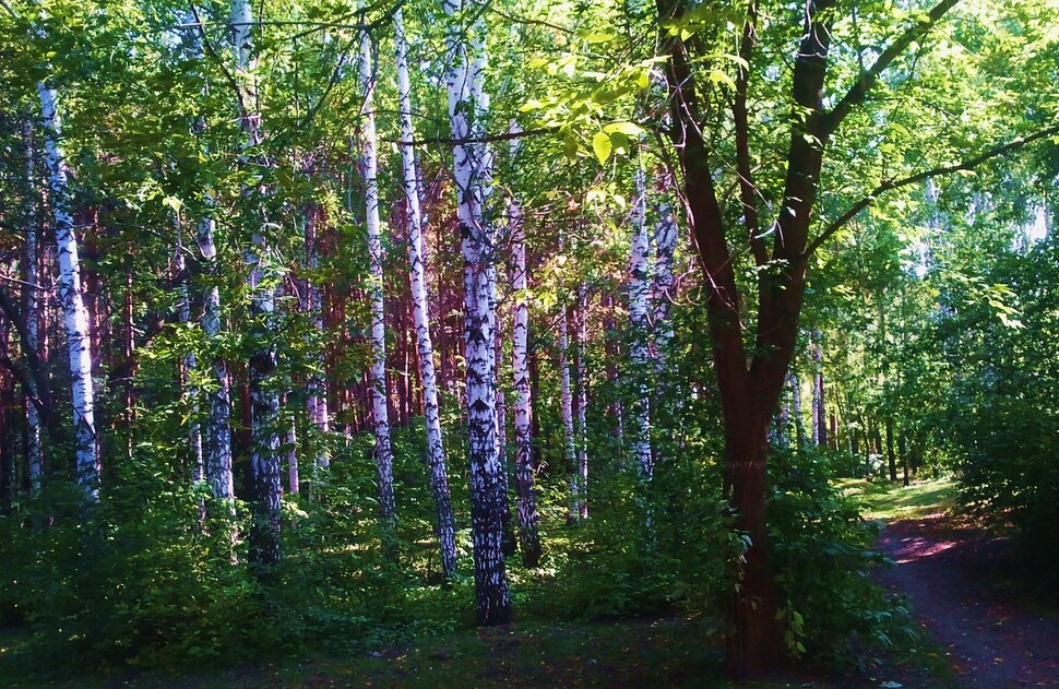 Сентябрь