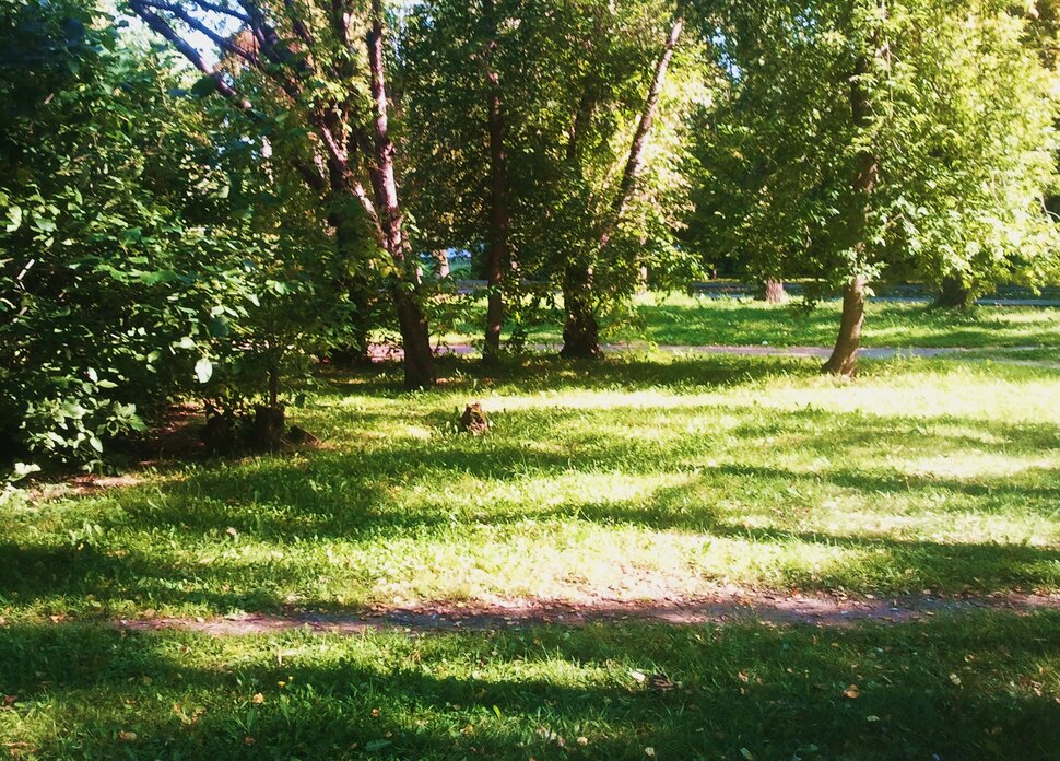 Сентябрь