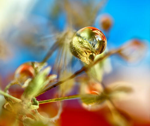 Drops.Капли