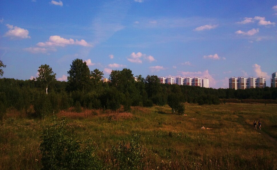 По полям и по лесочкам
