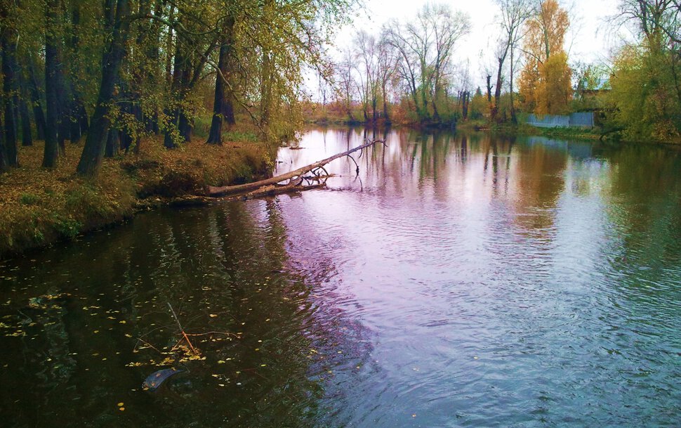 Река перед зимним сном