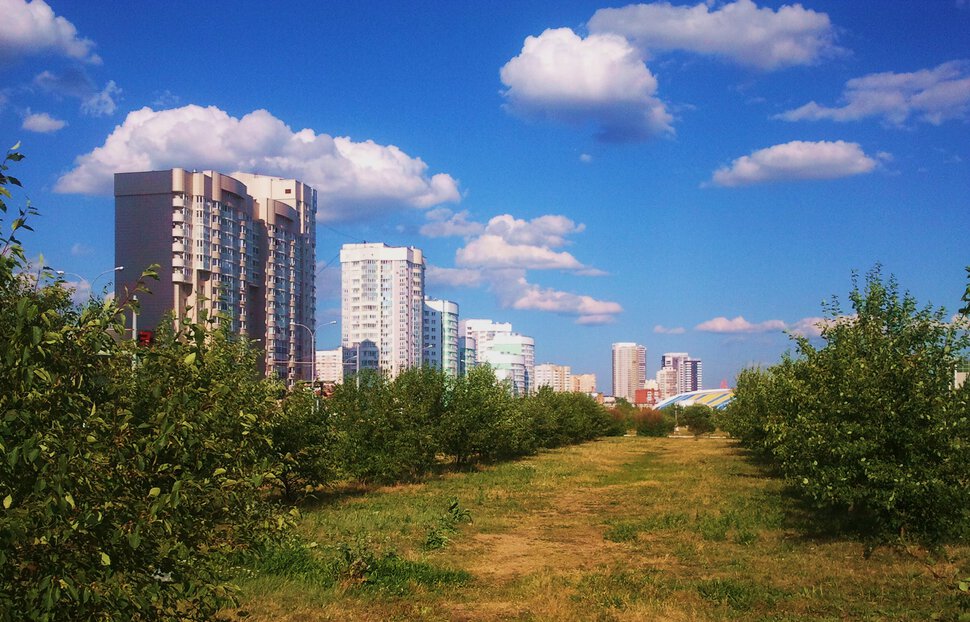 В городском парке