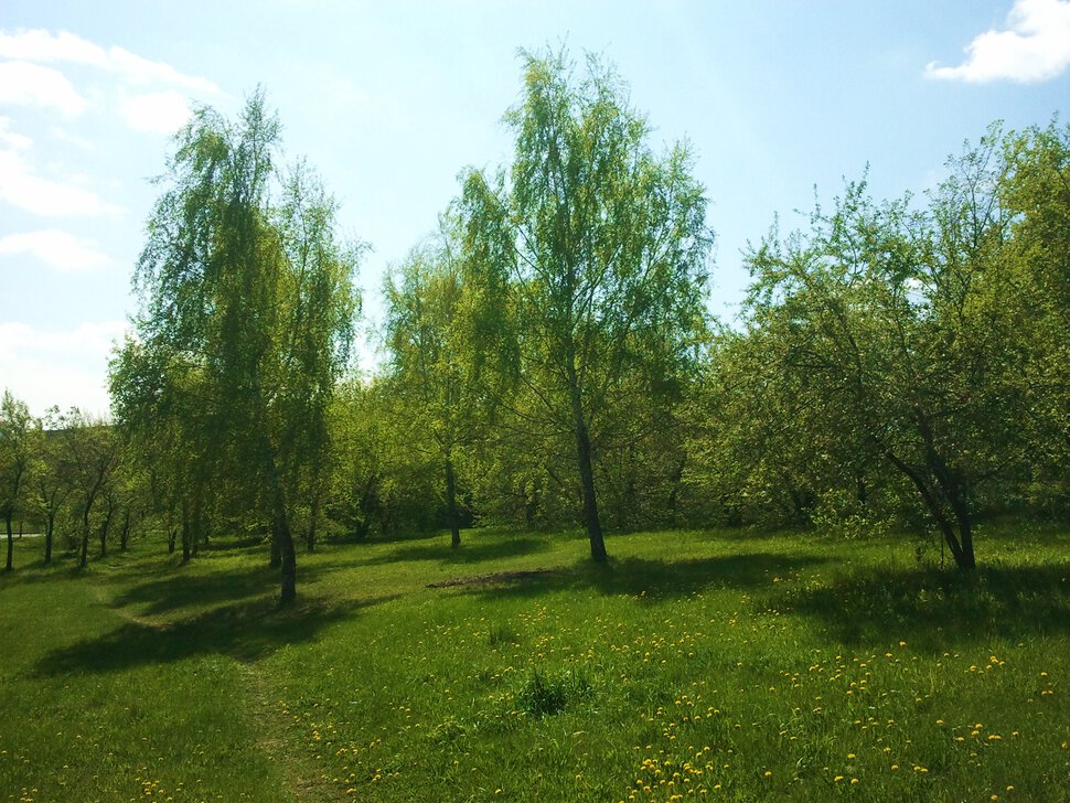 Майский солнечный день у пригорка