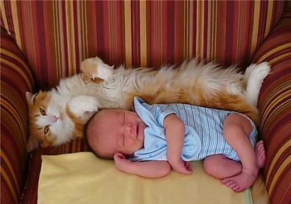 С котенком...