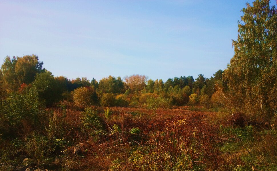 Сентябрь