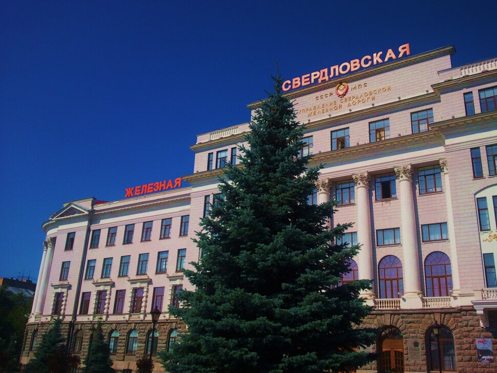 У елочки