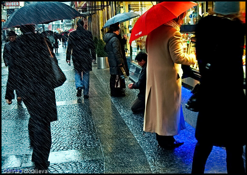 Дождь в Вене