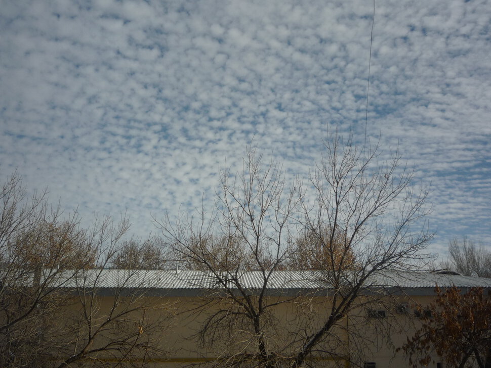 Небо января. Ташкент