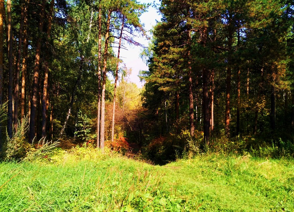 В парке Каменные палатки