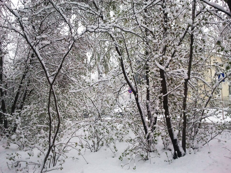 Во дворе