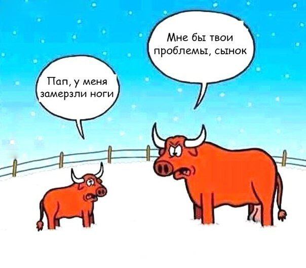 Мужской разговор