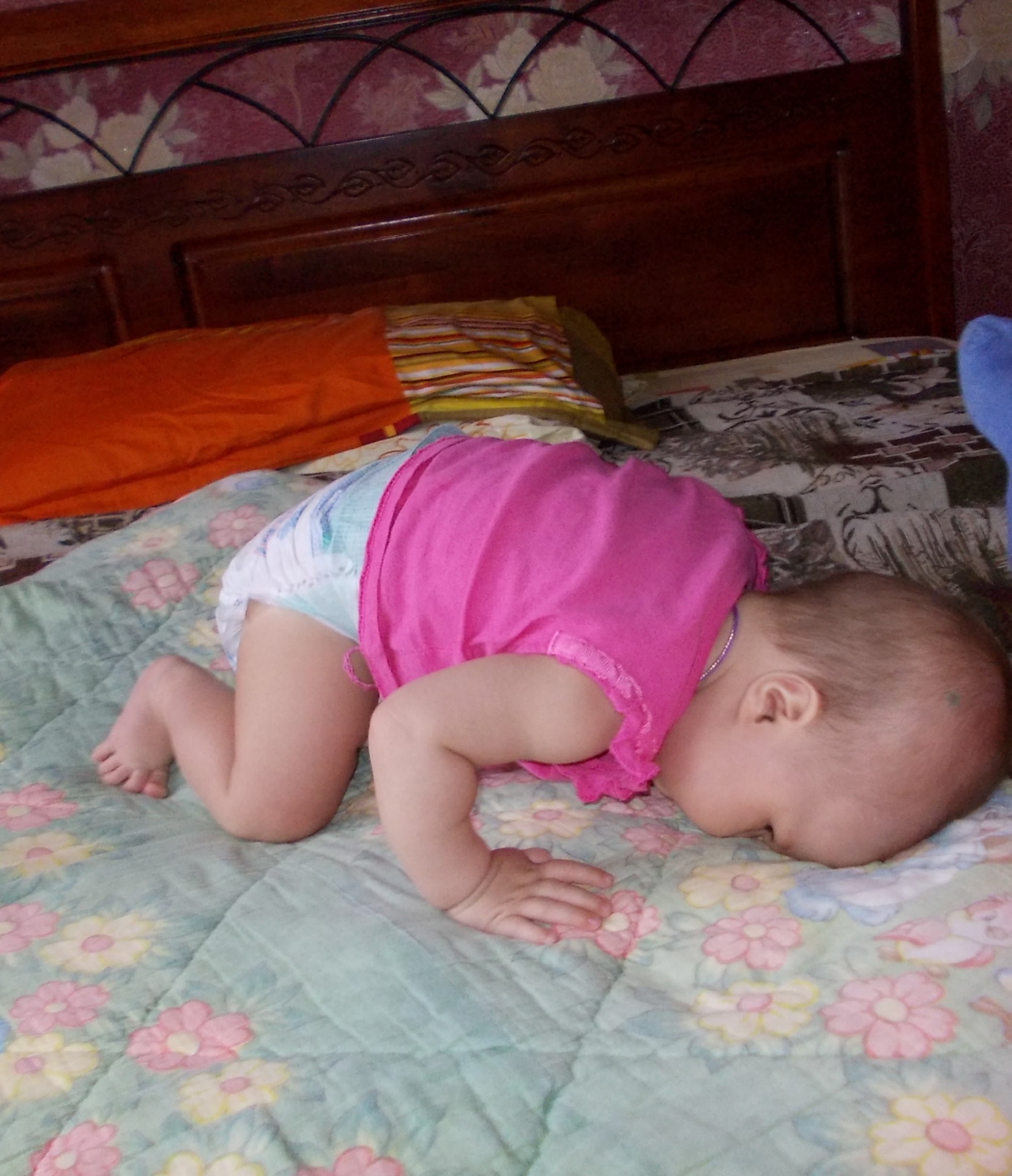 Полз По Фото Хабаровск Заказать
