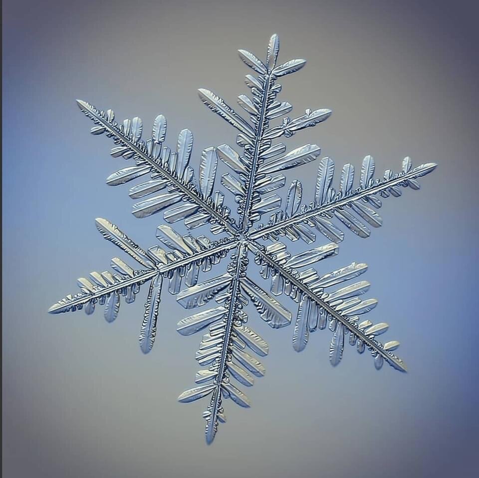 Россыпи снежинок от Алексея Клятова