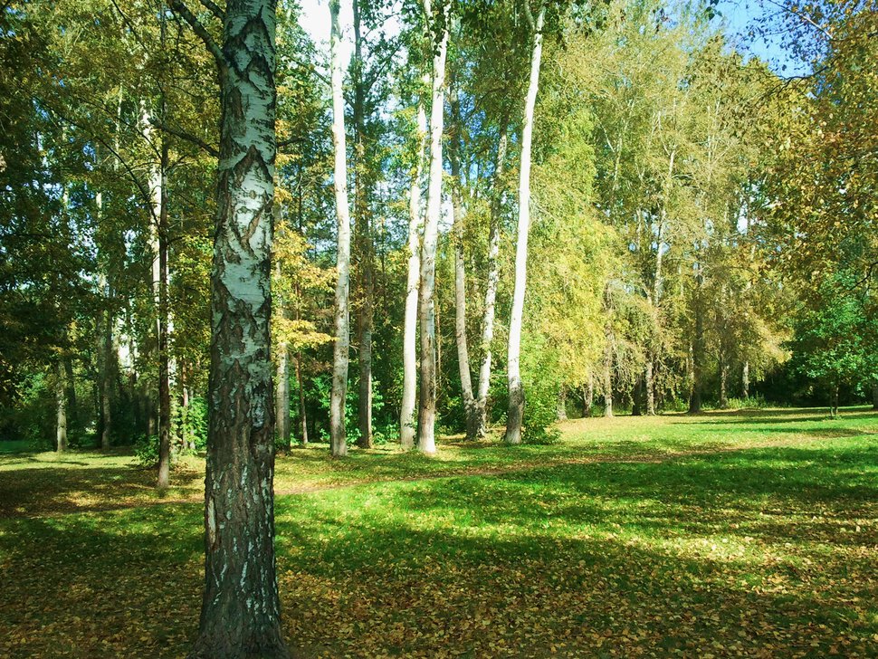 В парке осень