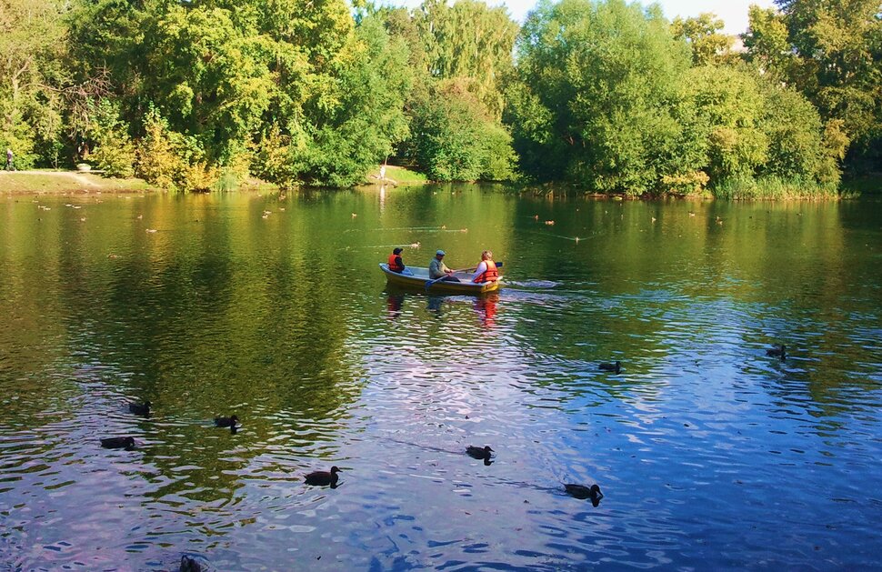 На лодочке и с утками