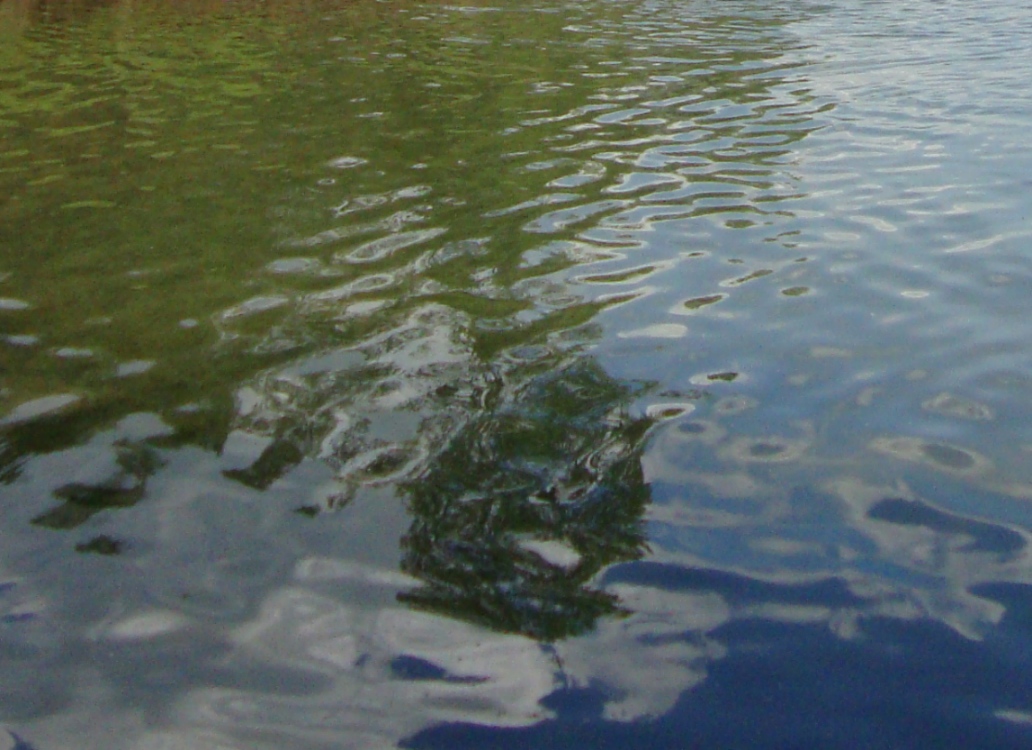 Водяной настоящий в озере