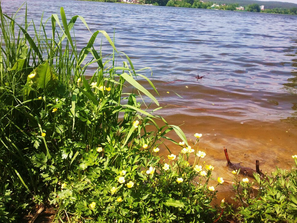 У прозрачной водички