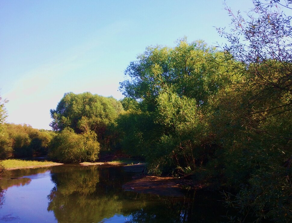 У реки