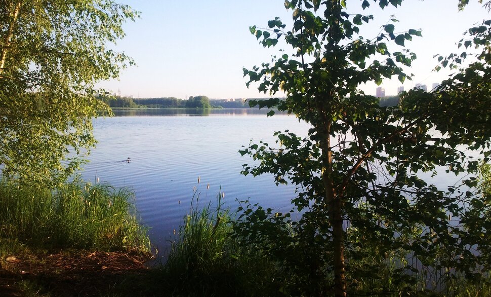 У реки