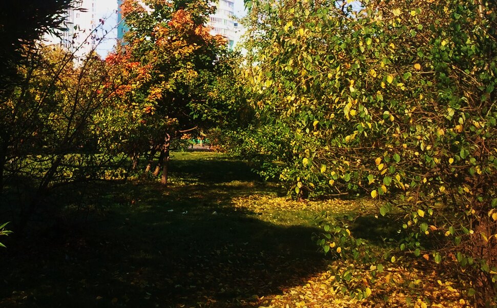 В парке осенью