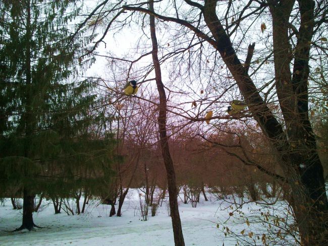 На природе