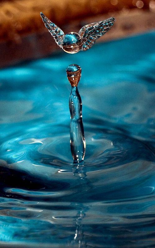 Заказать воду жизнь. Вода это жизнь. Живительная сила воды. Вода источник жизни. Целительная сила воды.