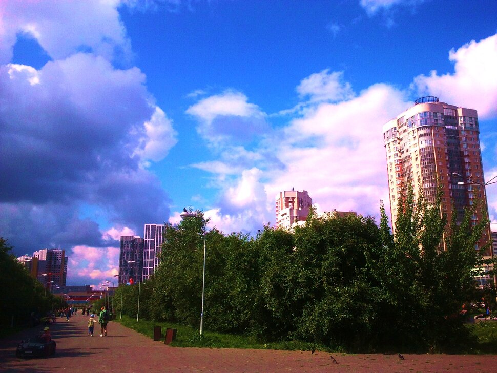 В парке летом