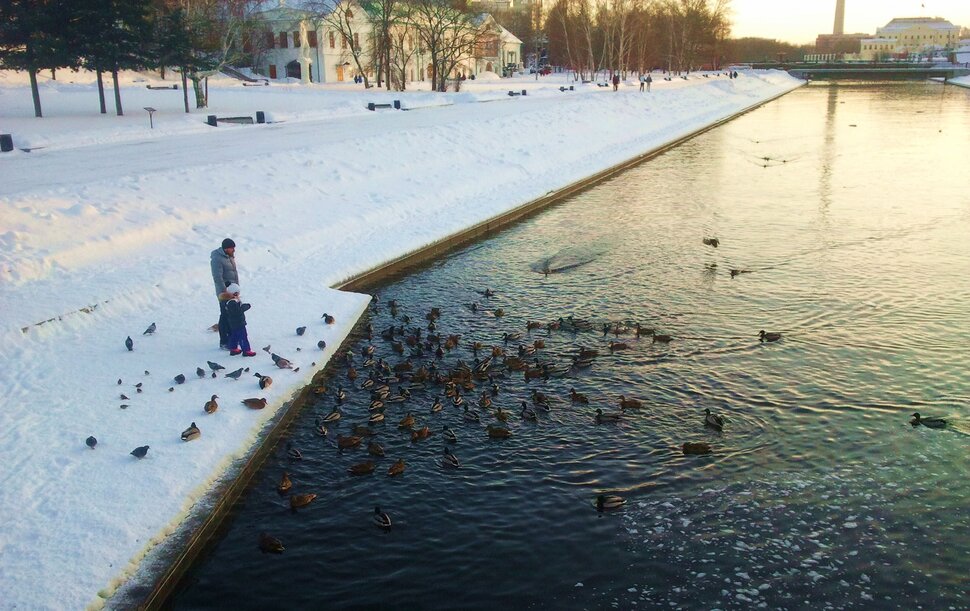 В сквере в декабре