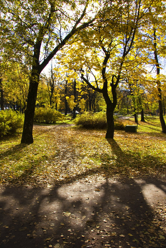 Каменный остров