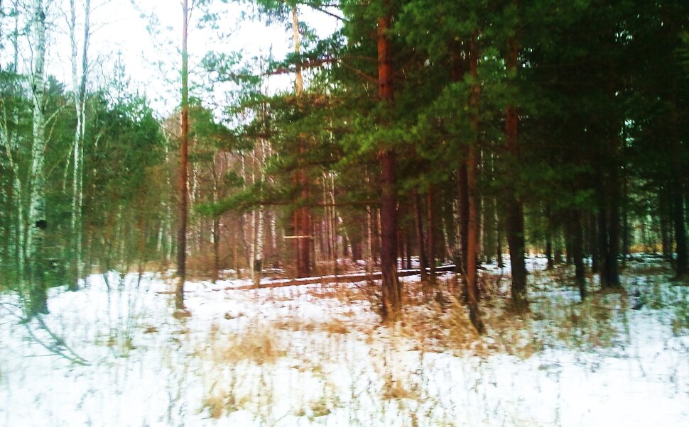Ноябрь