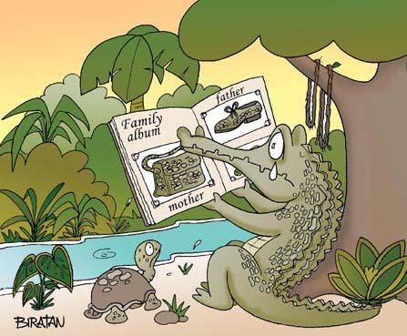Рисунки крокодил