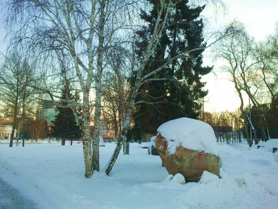 В заснеженном сквере