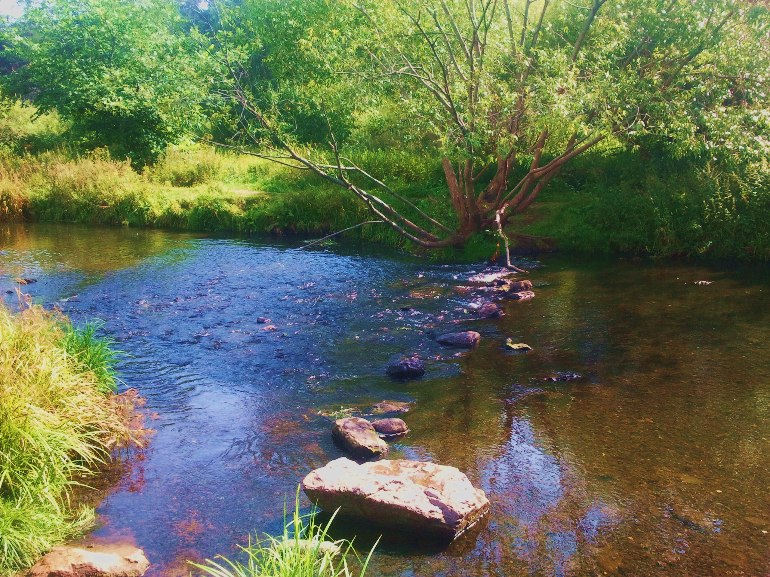 Через реку краткое. Речка Ушачка. На речке. Переход через речку. Друмечия речка.